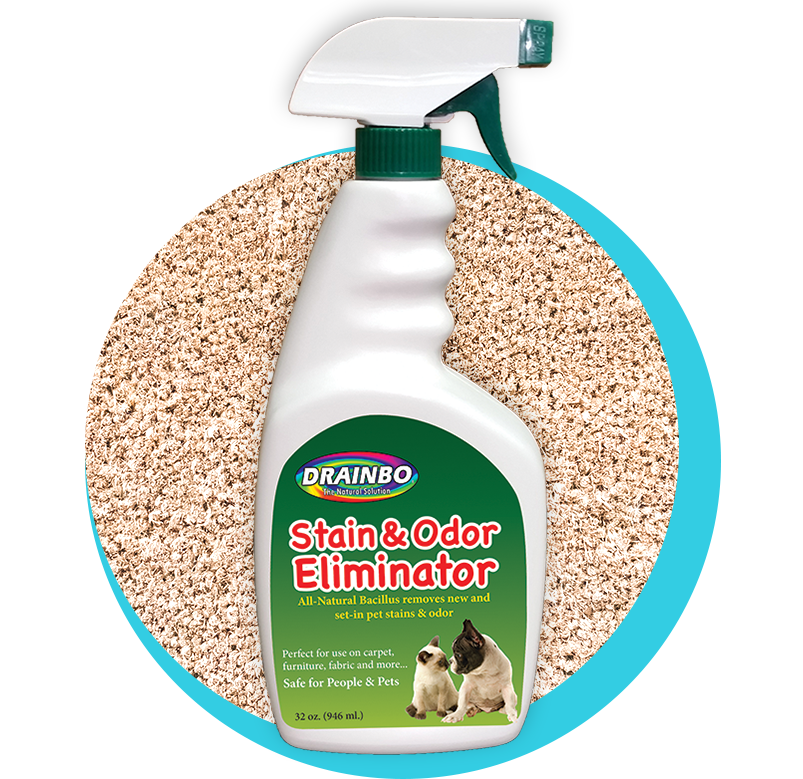 Drainbo's 32oz all natural stain and odor eliminator